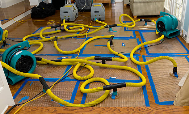 Professional Storm Water Damage Restoration technician working in Long Bottom, OH